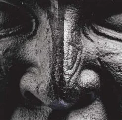 Onnit Quad Mace 5 Onnit Quad Mace -Iron Motion Deals 07811dc6c422334ce36a09ff5cd6fe71 5d0a754ec2a17