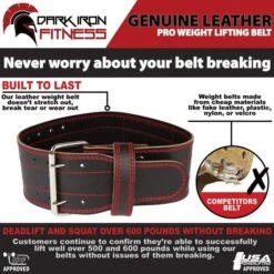 Dark Iron Fitness Power Belt -Iron Motion Deals 0efe32849d230d7f53049ddc4a4b0c60 5d0a74e9e264f 600x600 1