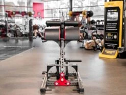 Sorinex Glute Ham Developer -Iron Motion Deals 66e8ba8216a1e152d72653d99a4f03ab 5d0a756aeec35 600x450 1