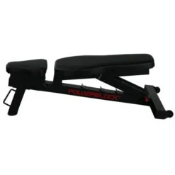 Powerblock Power Bench -Iron Motion Deals a486cd07e4ac3d270571622f4f316ec5 5d0a75554274a 600x600 1