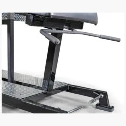 EliteFTS Pro Glute Ham Raise -Iron Motion Deals c2ba1bc54b239208cb37b901c0d3b363 5d0a757667cee 600x600 1