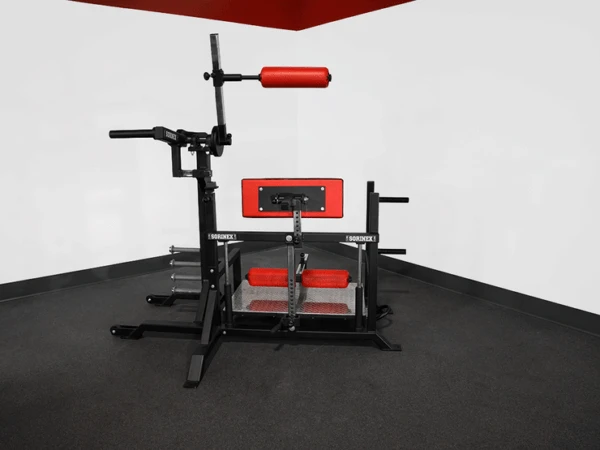 Sorinex Back Attack Machine 1 Sorinex Back Attack Machine