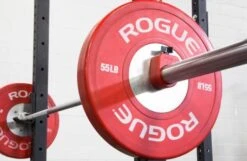 Proloc 1 Collars 7 Proloc 1 Collars -Iron Motion Deals ce78d1da254c0843eb23951ae077ff5f 5d0a74e61dae1 600x392 1