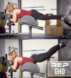 REP GHD – Glute Ham Developer -Iron Motion Deals df1f1d20ee86704251795841e6a9405a 5d0a7565a2bd0 600x656 1