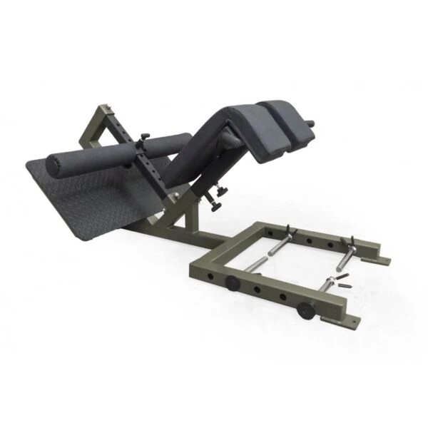 EliteFTS Professional 45 Degree Back Raise 1 EliteFTS Professional 45 Degree Back Raise