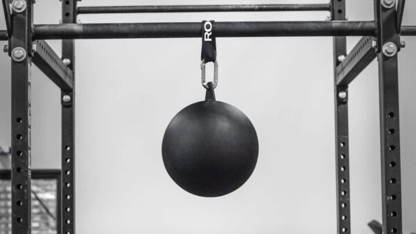 Rogue 12-Inch Pull-up Globe 1 Rogue 12-Inch Pull-up Globe